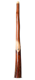 Wix Stix Didgeridoo (WS442)